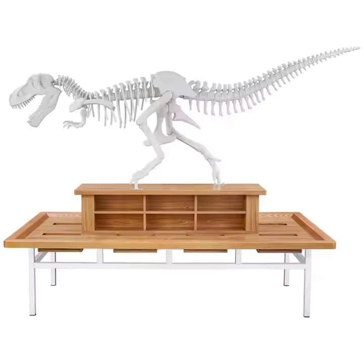 Indoor-Outdoor Dinosaur Archaeological Excavation Digging Table Set Metal Fossil Kit for Theme Parks